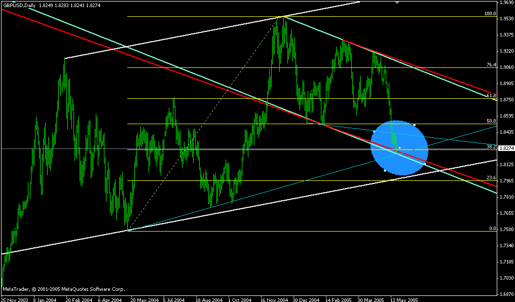 gbp daily 23052005.gif